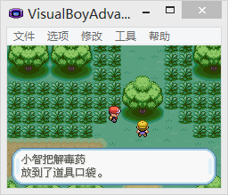 【自娱自乐】火红通关实录 - 口袋妖怪红蓝绿宝