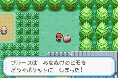 【二周目已完结】sxbk的叶绿流程实录 - 口袋妖