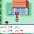 LeafGreen_7