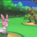 XY4